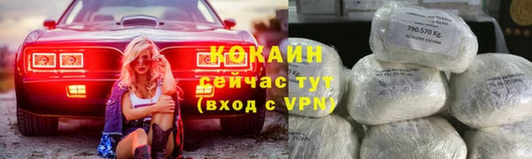 ГАЛЛЮЦИНОГЕННЫЕ ГРИБЫ Заводоуковск