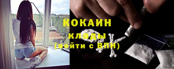 шишки Дедовск