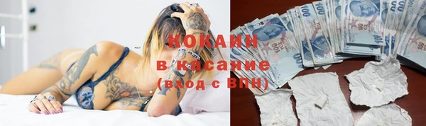 альфа пвп Заволжск